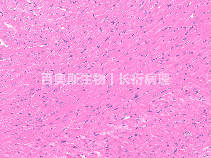 1659512047820097.jpg