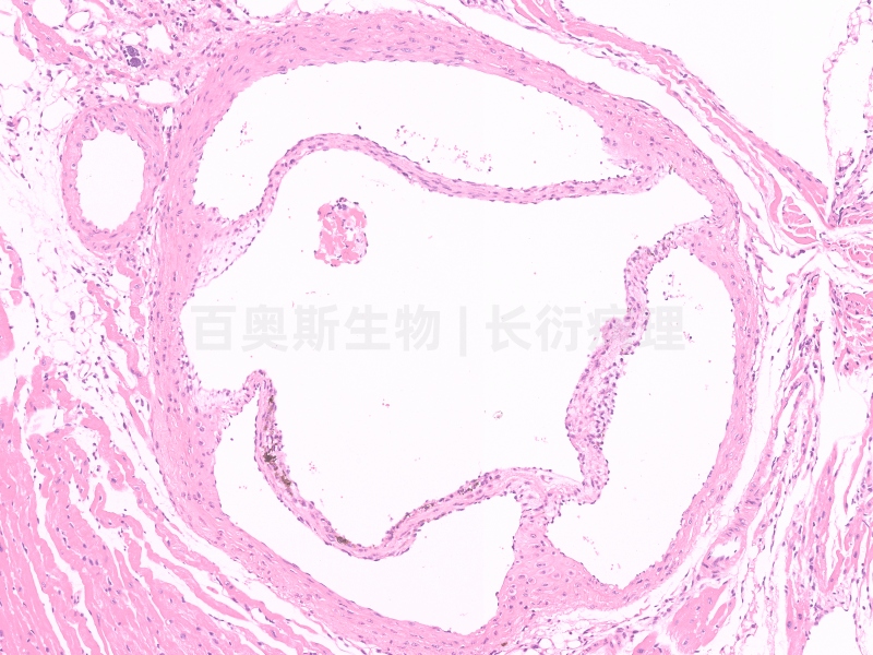 1670650162742149.jpg